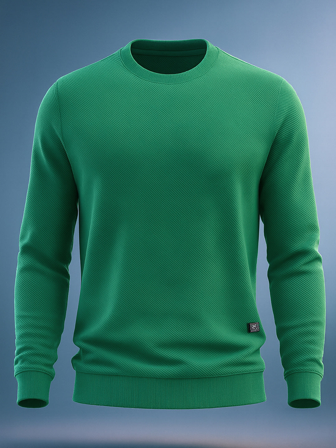 Men's Textured Regular Fit Sweatshirt