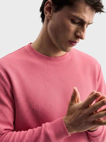 Men's Pink Regular Fit Solid Casual Sweatshirts