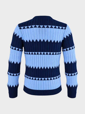 Men's Navy Blue Slim Fit Colourblocked Casual Sweater