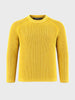 Men's Yellow Regular Fit Solid Casual Sweater