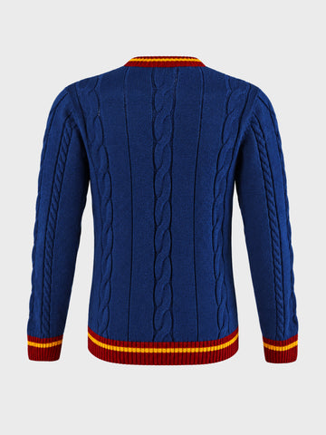 Men's Navy Blue Slim Fit Textured Casual Sweater