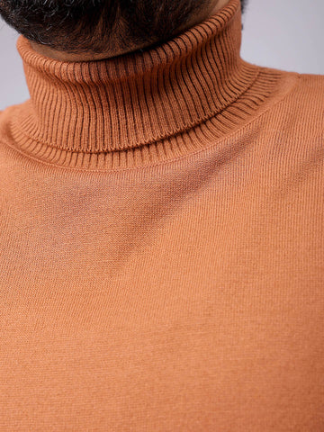Men's Plus Fit Solid Turtle Neck Sweater