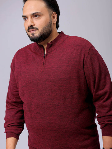 Men's Plus Fit Solid Half Open High Neck Sweater