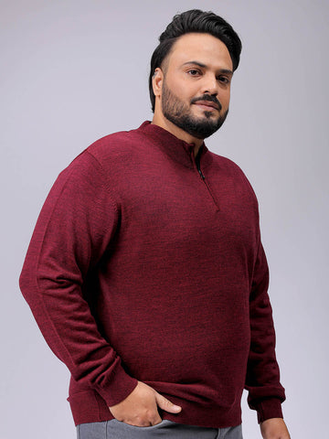 Men's Plus Fit Solid Half Open High Neck Sweater