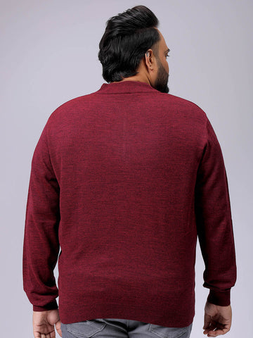Men's Plus Fit Solid Half Open High Neck Sweater