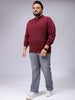 Men's Plus Fit Solid Half Open High Neck Sweater
