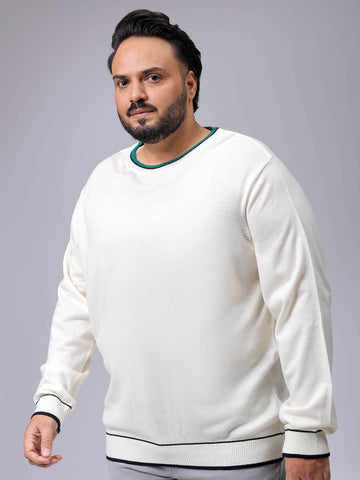 Men's Plus Fit Solid Crew Neck Sweater
