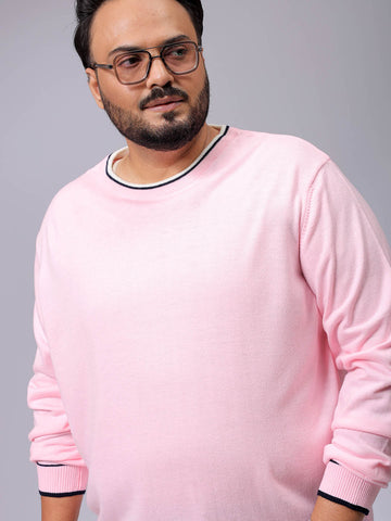 Men's Plus Fit Solid Crew Neck Sweater