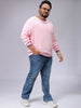 Men's Plus Fit Solid Crew Neck Sweater