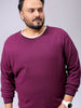 Men's Plus Fit Solid Crew Neck Sweater