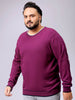 Men's Plus Fit Solid Crew Neck Sweater