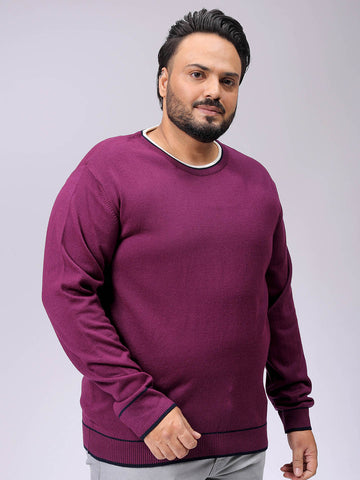 Men's Plus Fit Solid Crew Neck Sweater