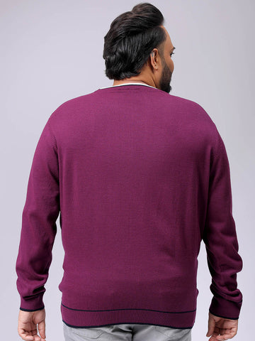Men's Plus Fit Solid Crew Neck Sweater