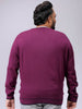 Men's Plus Fit Solid Crew Neck Sweater