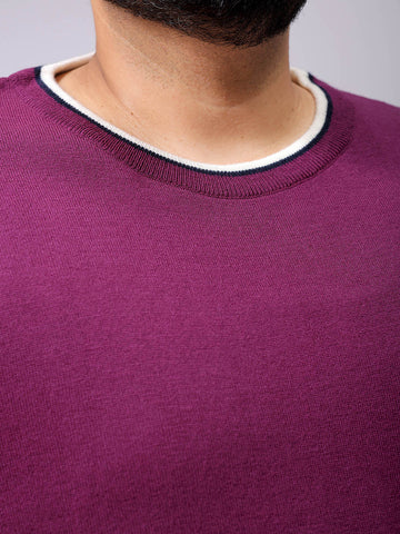 Men's Plus Fit Solid Crew Neck Sweater