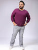 Men's Plus Fit Solid Crew Neck Sweater