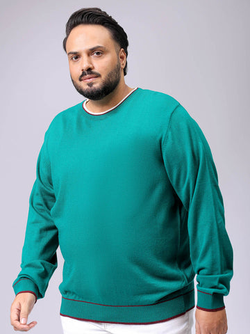Men's Plus Fit Solid Crew Neck Sweater