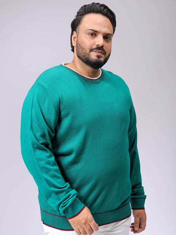 Men's Plus Fit Solid Crew Neck Sweater