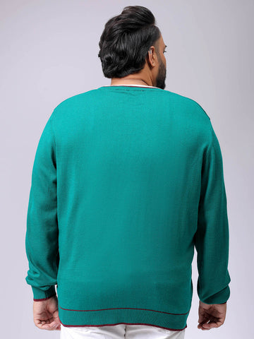 Men's Plus Fit Solid Crew Neck Sweater