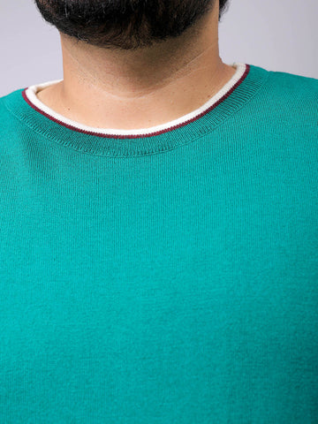 Men's Plus Fit Solid Crew Neck Sweater