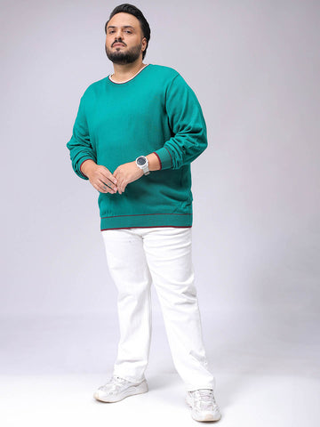 Men's Plus Fit Solid Crew Neck Sweater