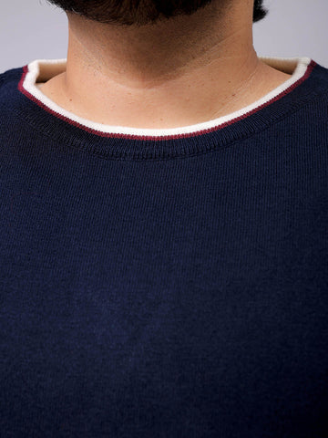 Men's Plus Fit Solid Crew Neck Sweater