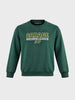 Men's Green Regular Fit Printed Casual Sweatshirt