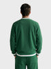 Men's Green Regular Fit Solid Casual Sweatshirt