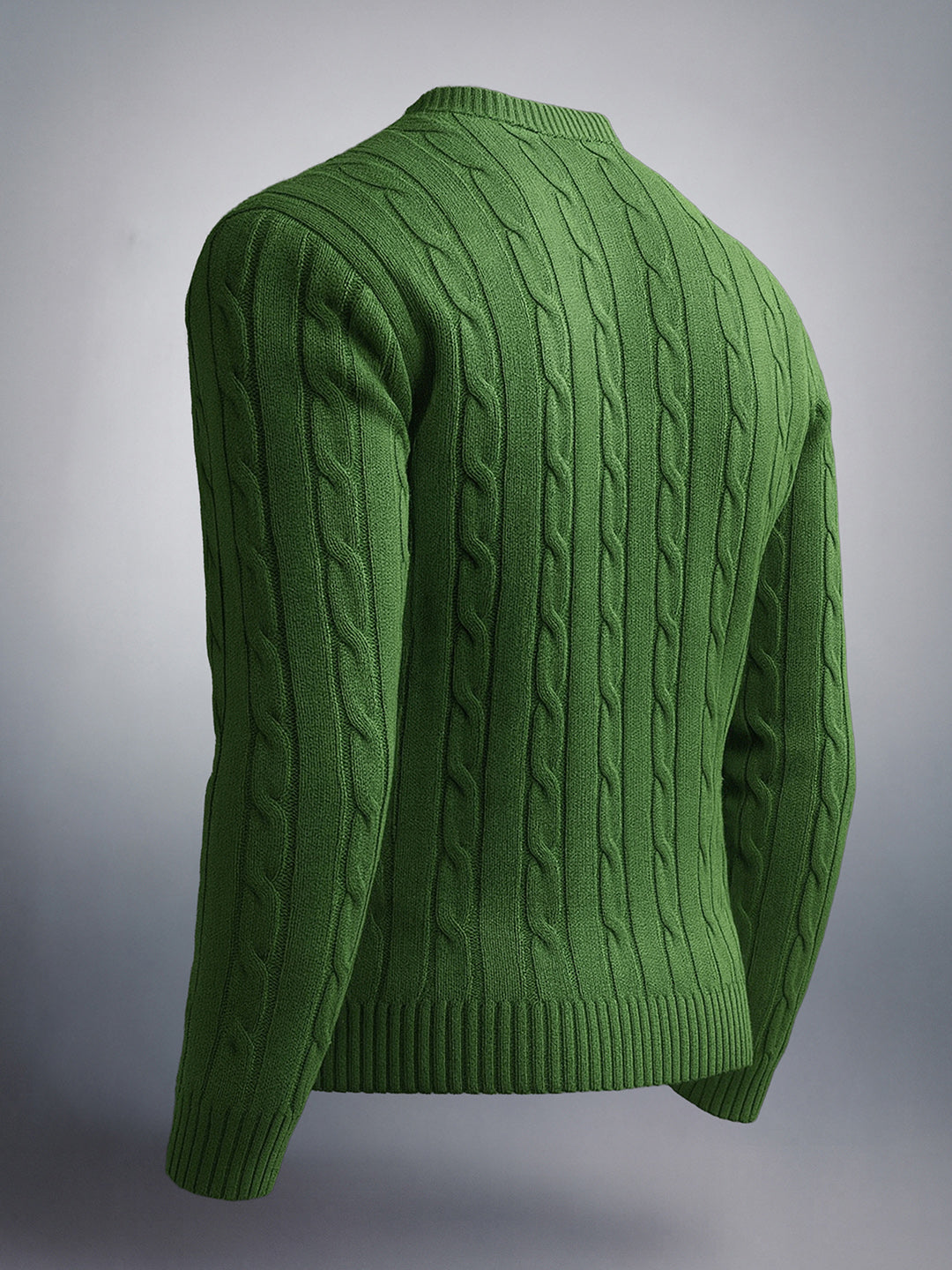 Men's Green Regular Fit Textured Casual Sweater