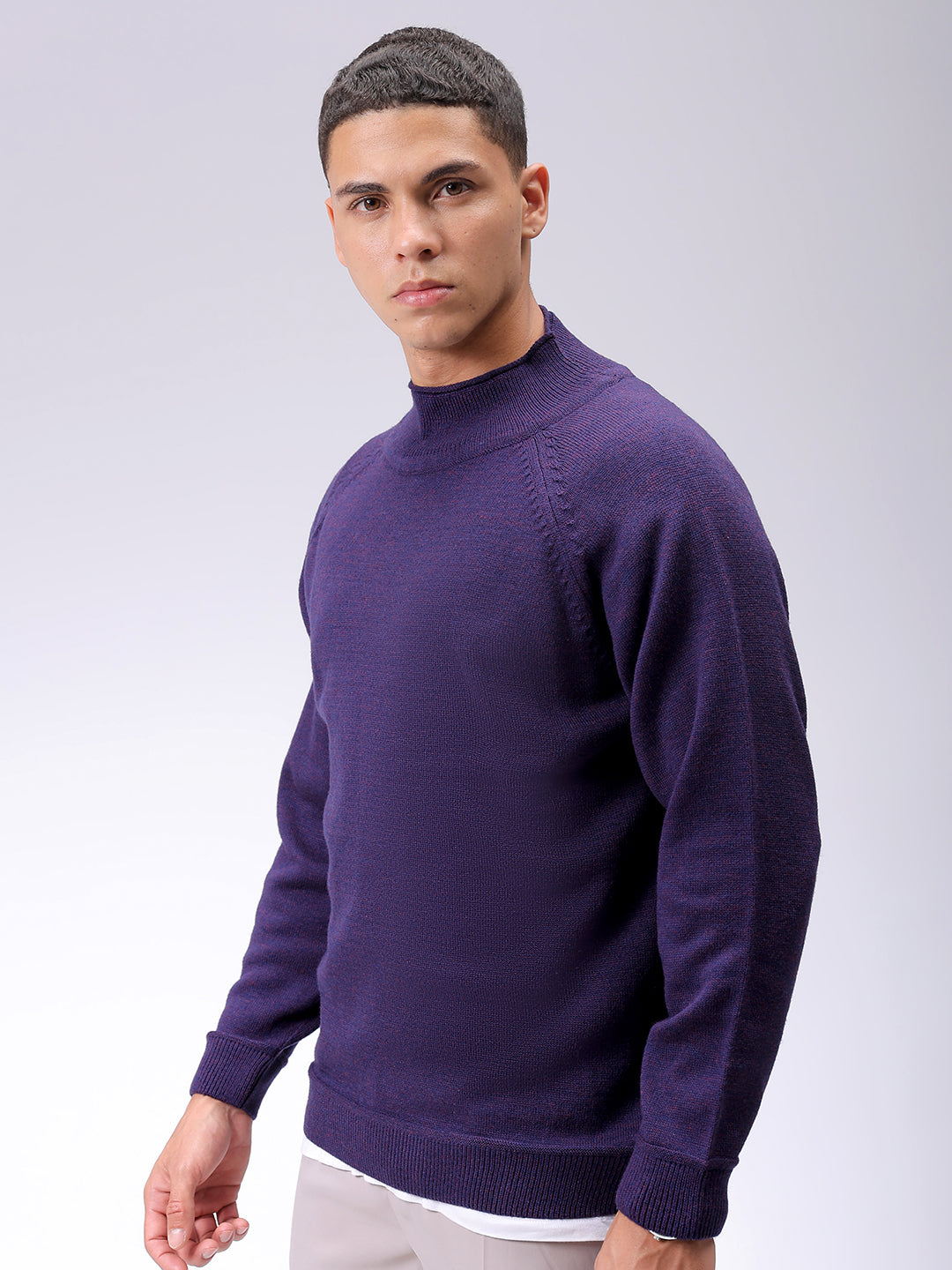 Men's Violet Relaxed Fit Solid High Neck Sweater