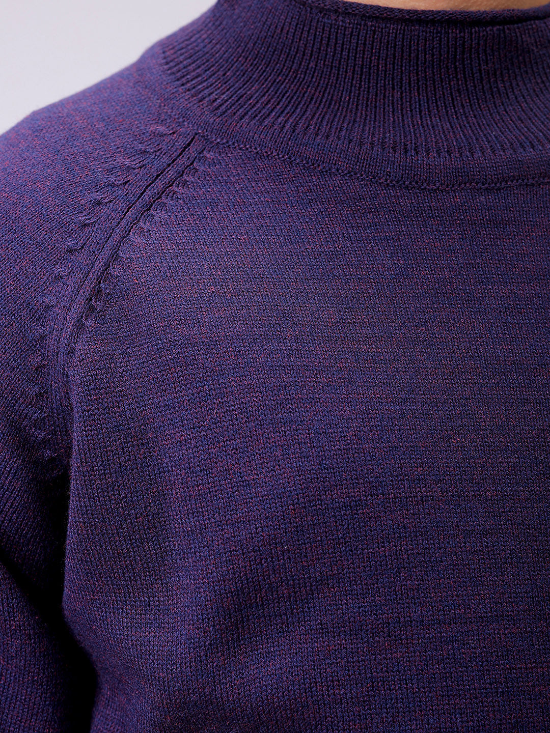 Men's Violet Relaxed Fit Solid High Neck Sweater