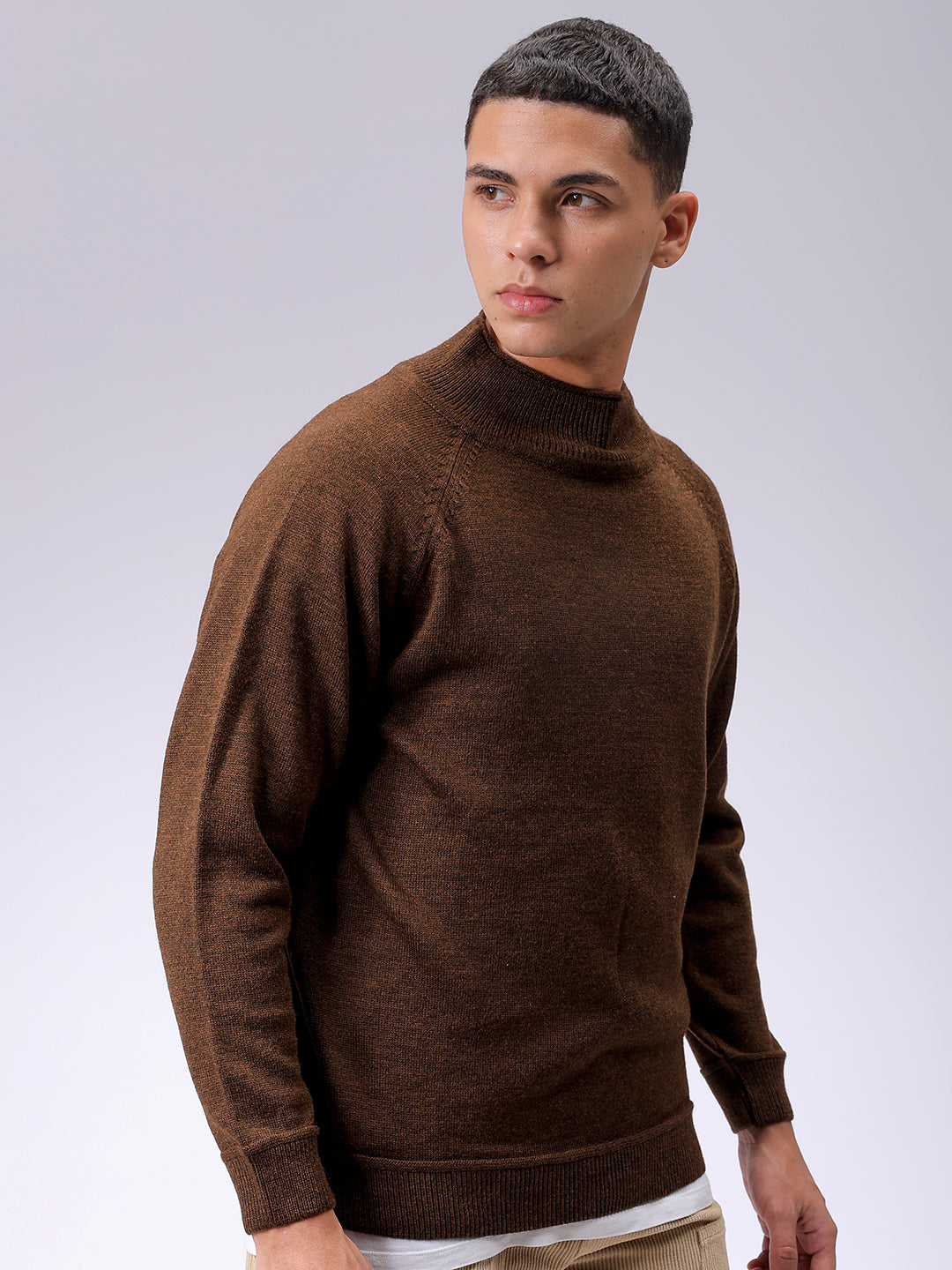 Men's Brown Relaxed Fit Solid High Neck Sweater