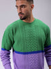 Men's Green Relaxed Fit Colourblocked High Neck Sweater