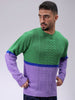 Men's Green Relaxed Fit Colourblocked High Neck Sweater