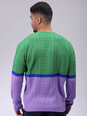 Men's Green Relaxed Fit Colourblocked High Neck Sweater