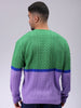 Men's Green Relaxed Fit Colourblocked High Neck Sweater
