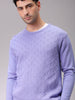 Men's Purple Relaxed Fit Solid High Neck Sweater