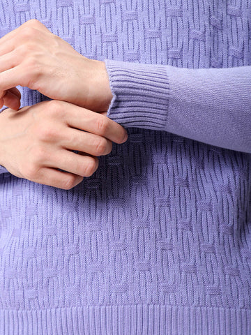 Men's Purple Relaxed Fit Solid High Neck Sweater