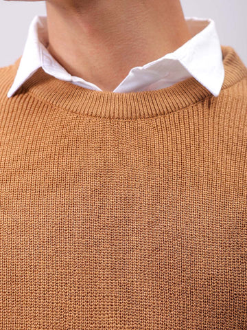 Men's Beige Relaxed Fit Textured Crew Neck Sweater