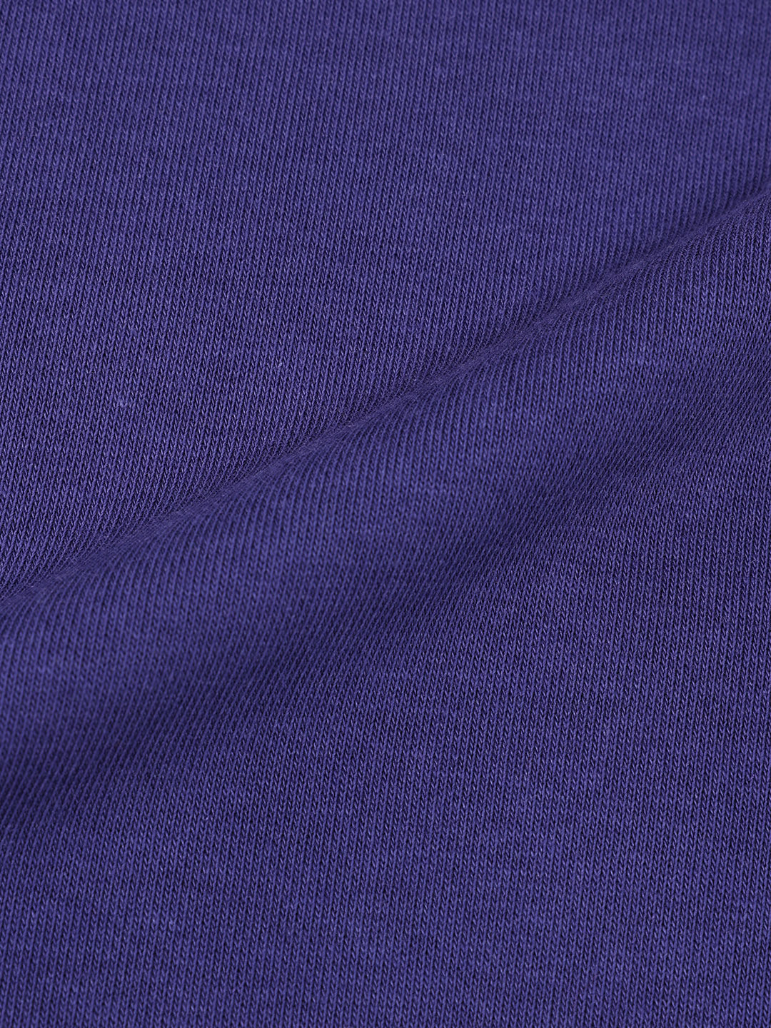 Men's Purple Relaxed Fit Graphic Printed Casual Sweatshirt