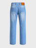 Men's Blue Regular Fit Solid Street Wear Jeans