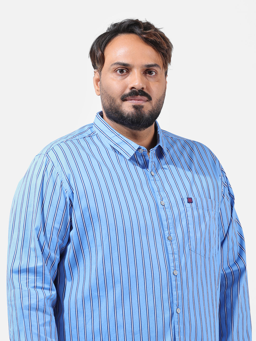 Men's Blue Regular Fit Striped Casual Shirt