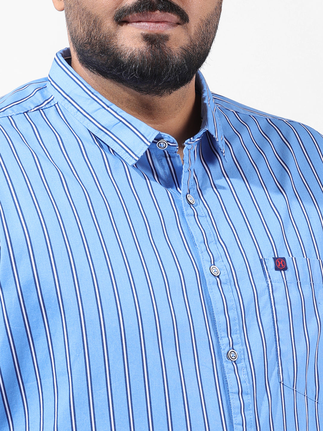Men's Blue Regular Fit Striped Casual Shirt