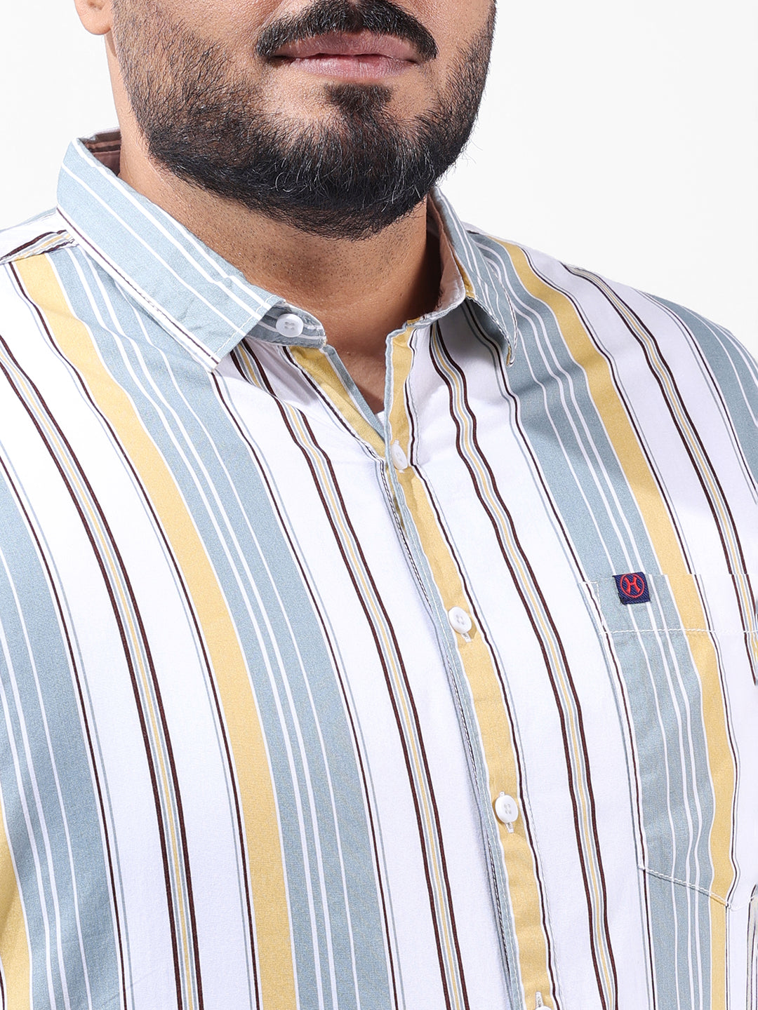 Men's Multicolor Regular Fit Striped Casual Shirt