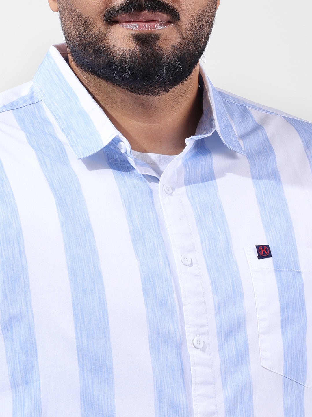 Men's Blue Regular Fit Striped Casual Shirt