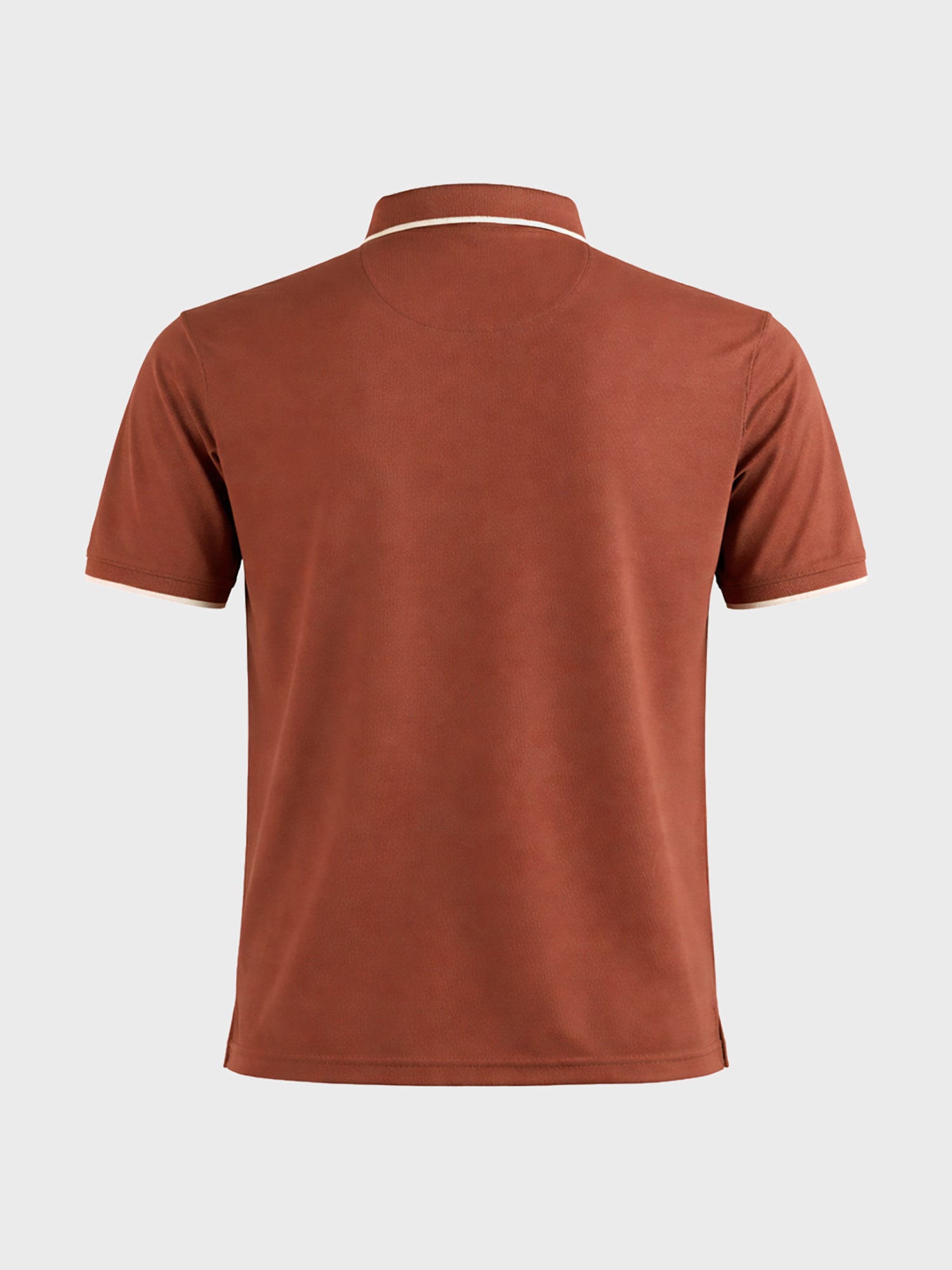Men's Rust Regular Fit Embroidered Casual T-Shirts