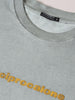 Men's Grey Relaxed Fit Graphic Printed 240 GSM Street Wear T-Shirt