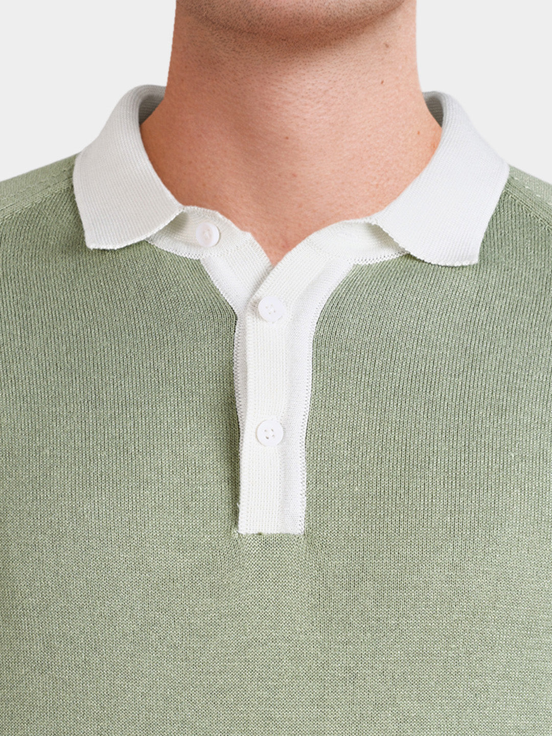 Men's Green Slim Fit Solid Casual Polos T-Shirt