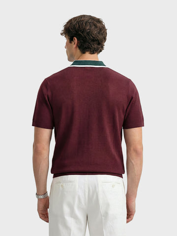 Men's Maroon Slim Fit Textured Flat Knit Polo Collar T-Shirt