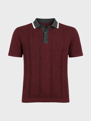 Men's Maroon Slim Fit Textured Flat Knit Polo Collar T-Shirt